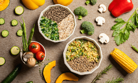 フードローテーションチキン無しコース【3kg】